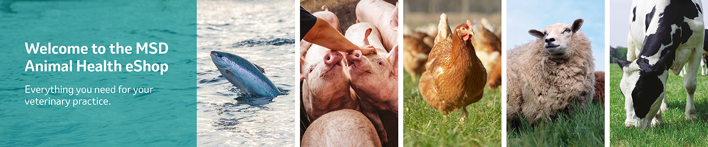 MSD Animal Health Logo